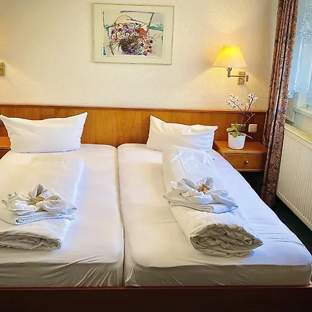 Hotel Meister Baer Wettiner Hof 3*